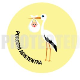 Porodní asistenka 2
