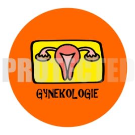 Gynekologie