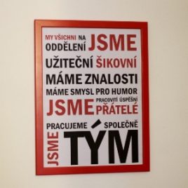 Plakát na sesternu/oddělení – TÝM